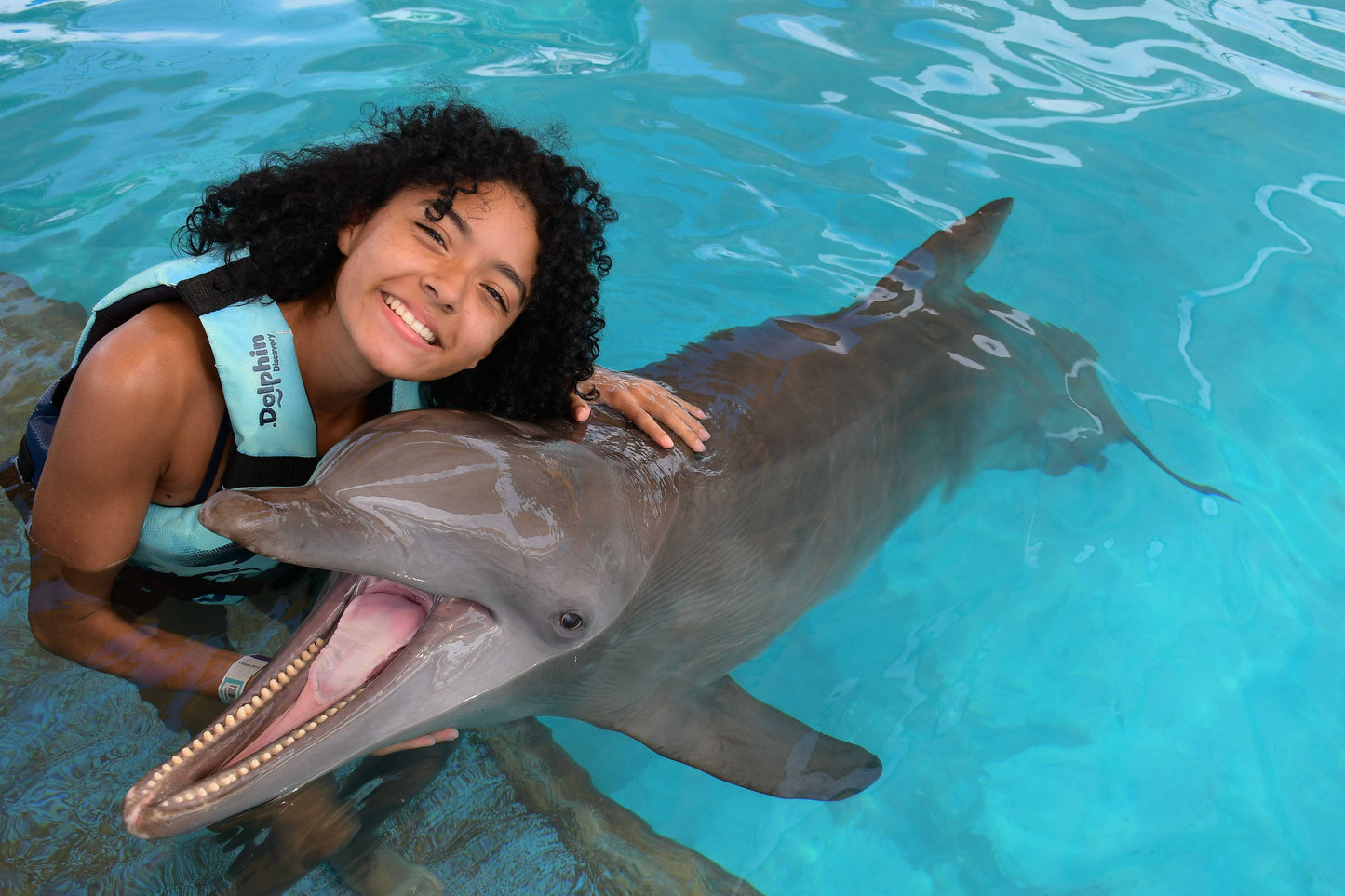 EXPIERENCE WITH DOLPHINS