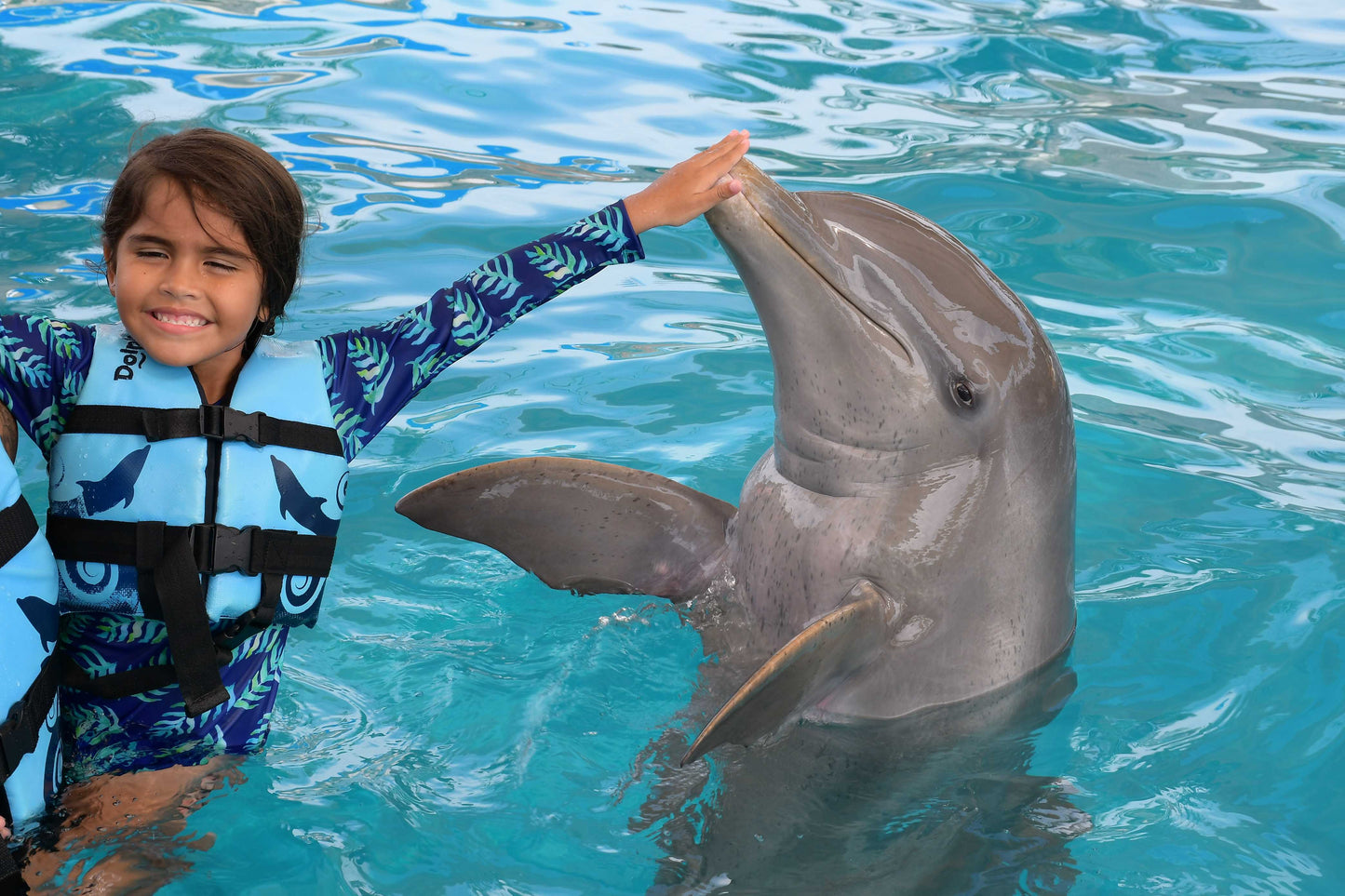 EXPIERENCE WITH DOLPHINS