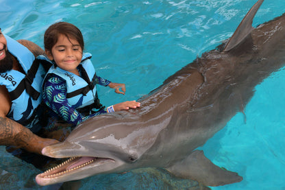 EXPIERENCE WITH DOLPHINS