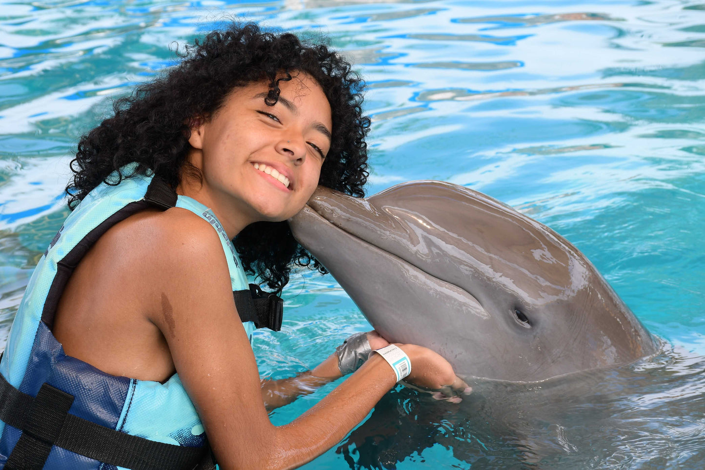 EXPIERENCE WITH DOLPHINS