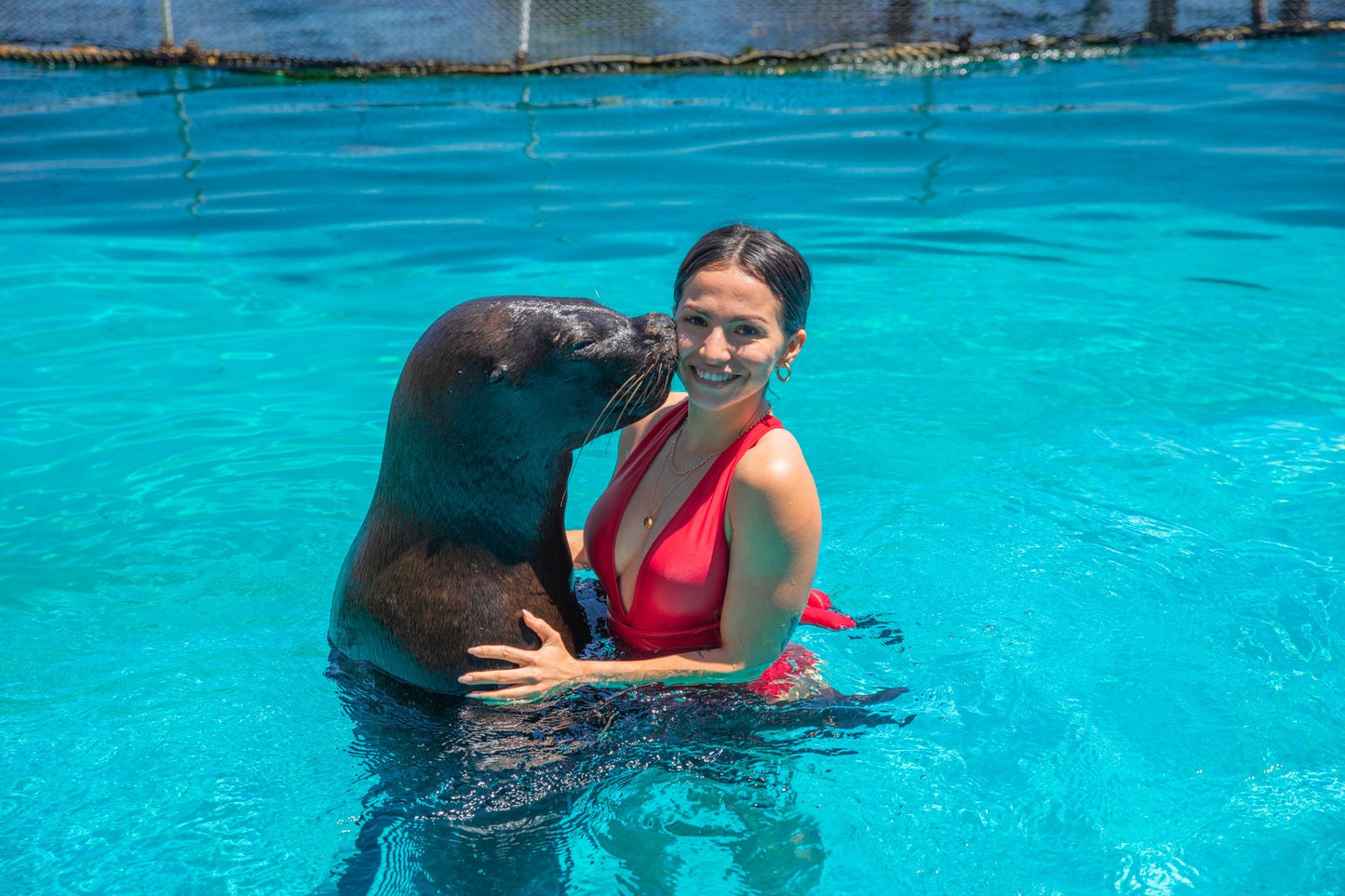 SWIMMING WITH SEA LIONS