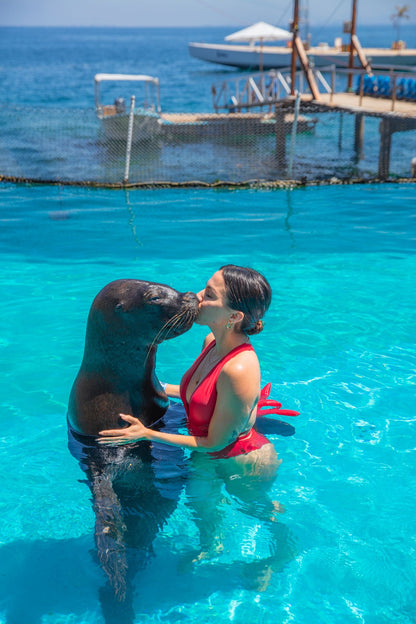 SWIMMING WITH SEA LIONS