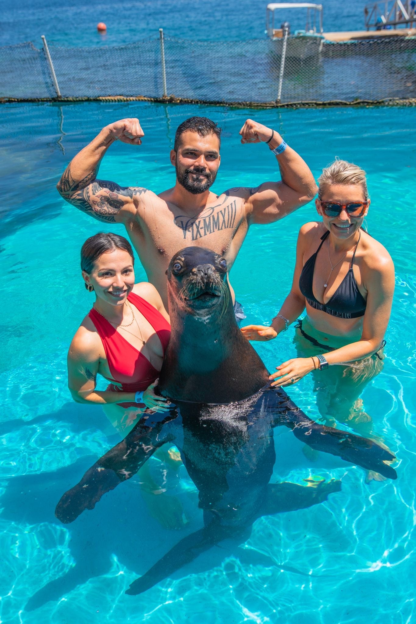 SWIMMING WITH SEA LIONS