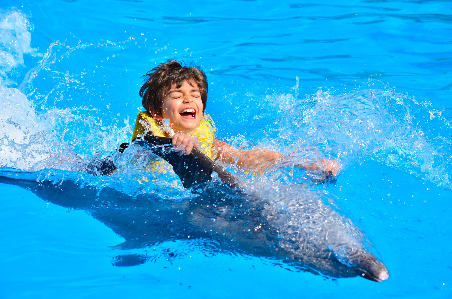 SWIMMING WITH DOLPHINS