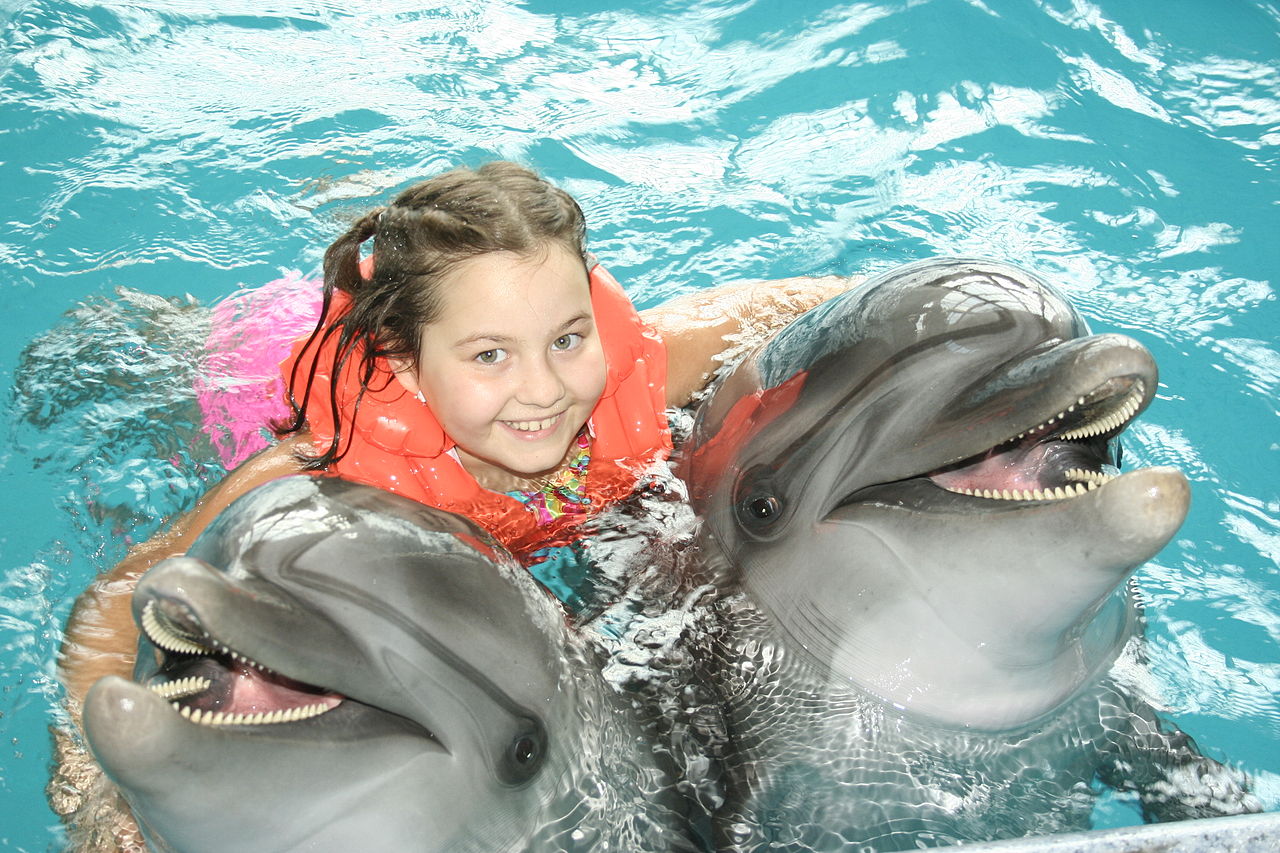 SWIMMING WITH DOLPHINS