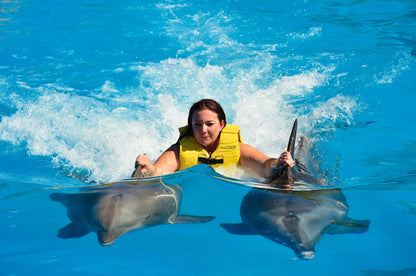 SWIMMING WITH DOLPHINS