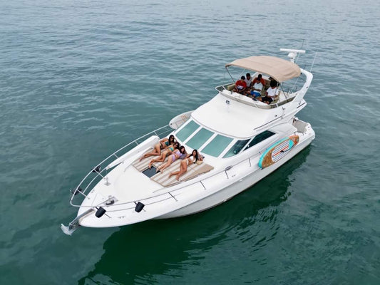 Private Yacht Cruise Sea Ray 42 feet (1-15 passengers)