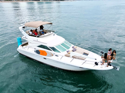 Private Yacht Cruise Sea Ray 42 feet (1-15 passengers)