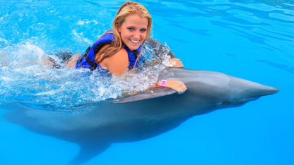 SWIMMING WITH DOLPHINS