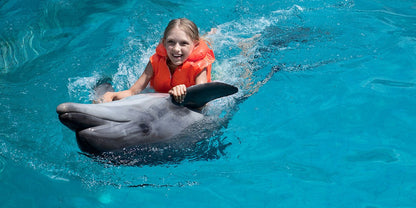 SWIMMING WITH DOLPHINS