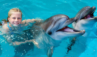 SWIMMING WITH DOLPHINS