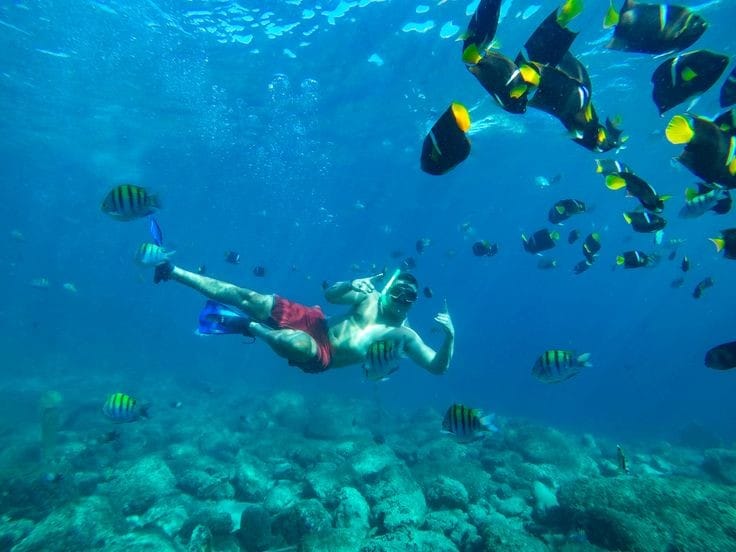 PRIVATE PANGA SNORKEL & BEACH TOUR